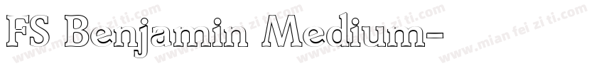 FS Benjamin Medium字体转换
